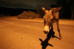 Richard Brian Night Photography