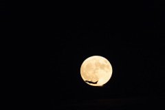 Richard Brian Night Photography